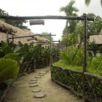 Vijay Nagar Beach Wild Orchid Resort - Havelock Island מראה חיצוני תמונה